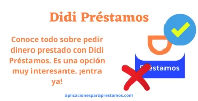 didi